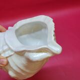 Empty cup vintage pocket shell shape conch conch shell iridescent white