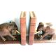 Art Deco bookends wooden elephants and bones on wooden terrace, book shape