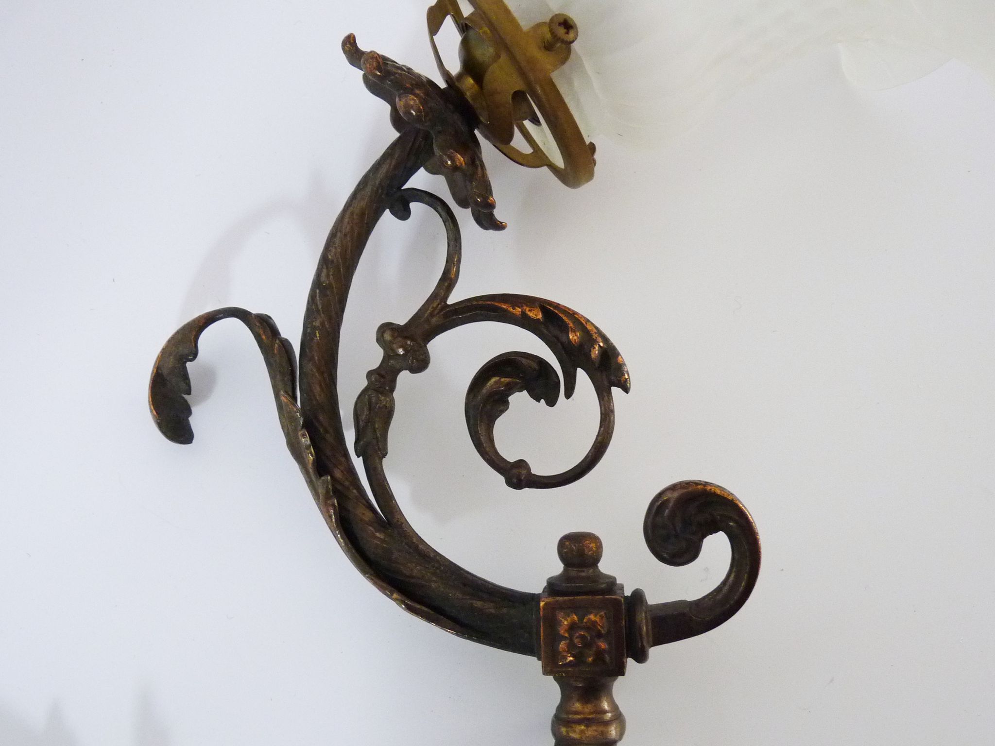 Pair of brass swan collar wall sconces, glass tulips, years 50
