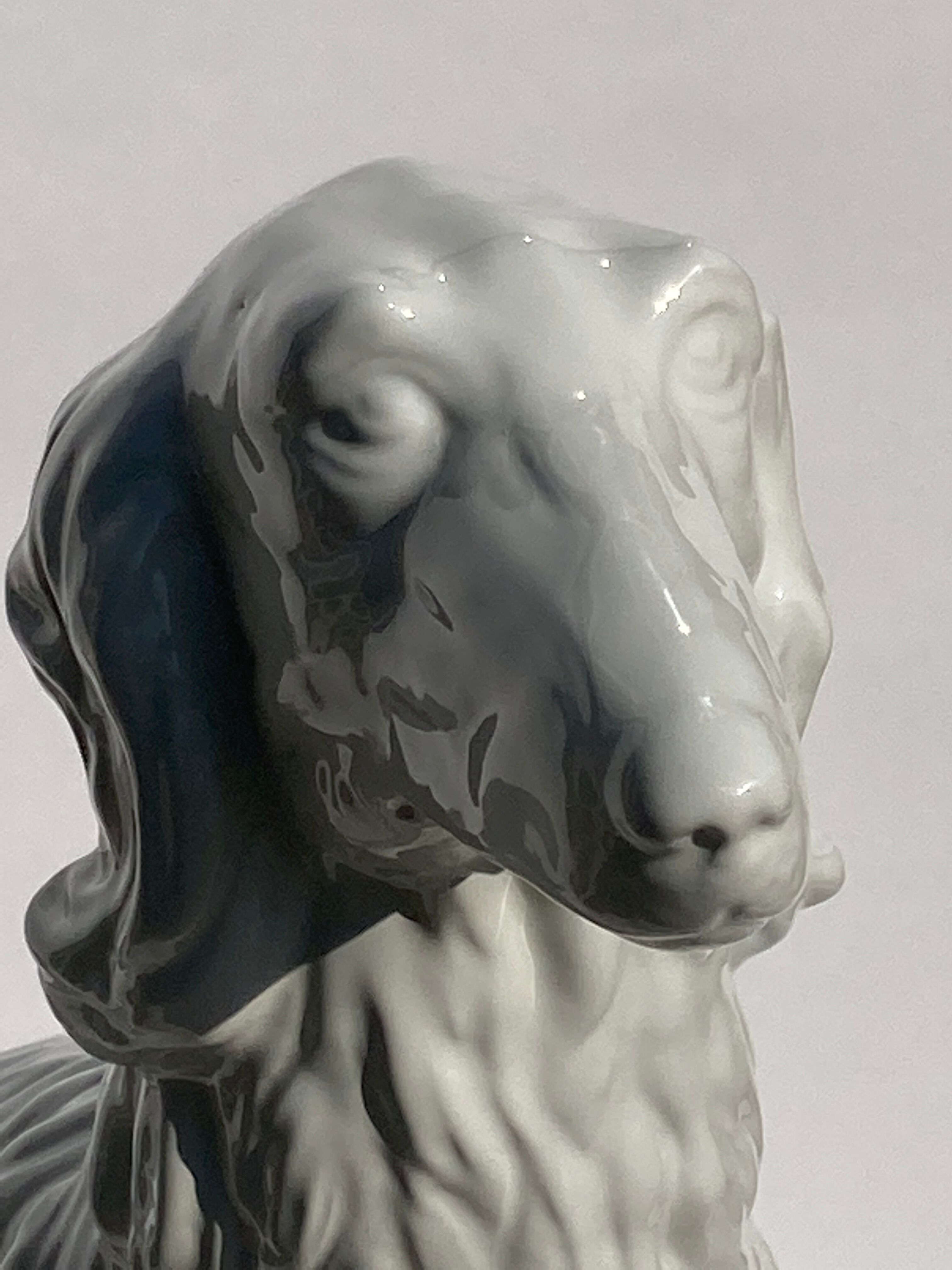 95 cm terracotta glazed Borzoi or Russian Afghan wolfhound, Austria 1960s.