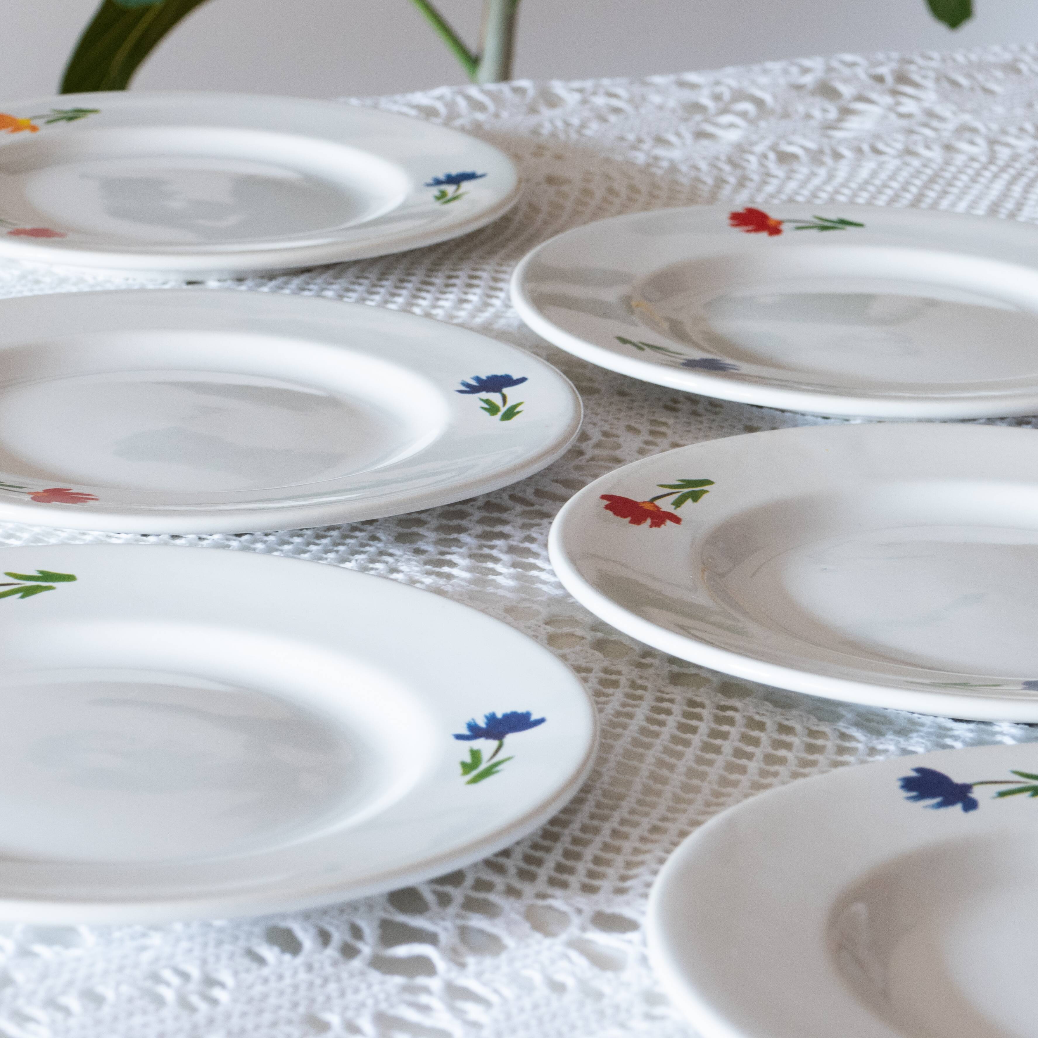 6 vintage tricolor flower plates