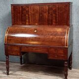 Parisian roll-top desk from the Charles X period in mottled mahogany