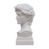 David head in waxed white plaster