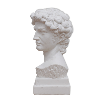 David head in waxed white plaster