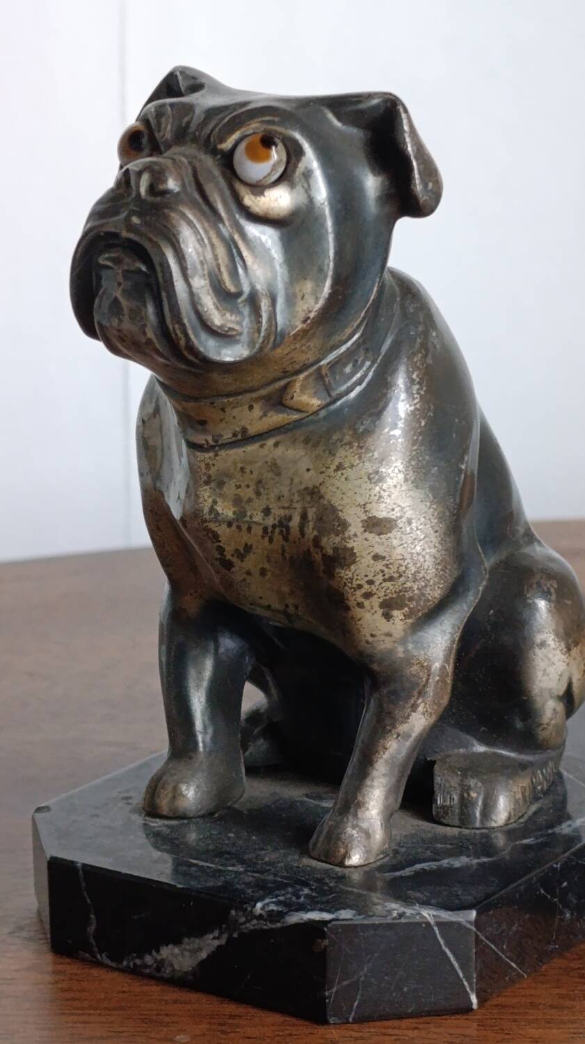 Delivered bulldogs from "Franjou"