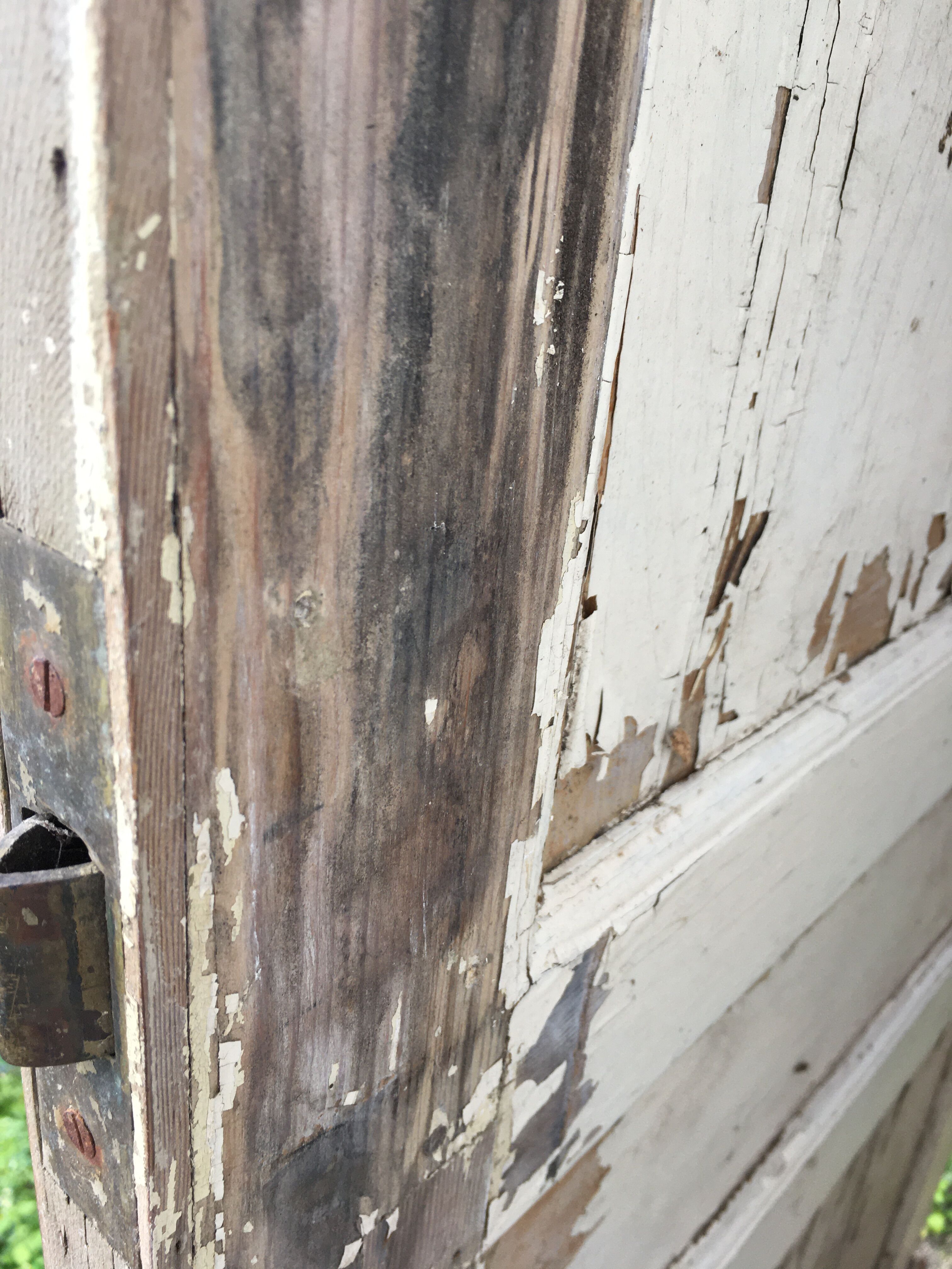 Patinated door