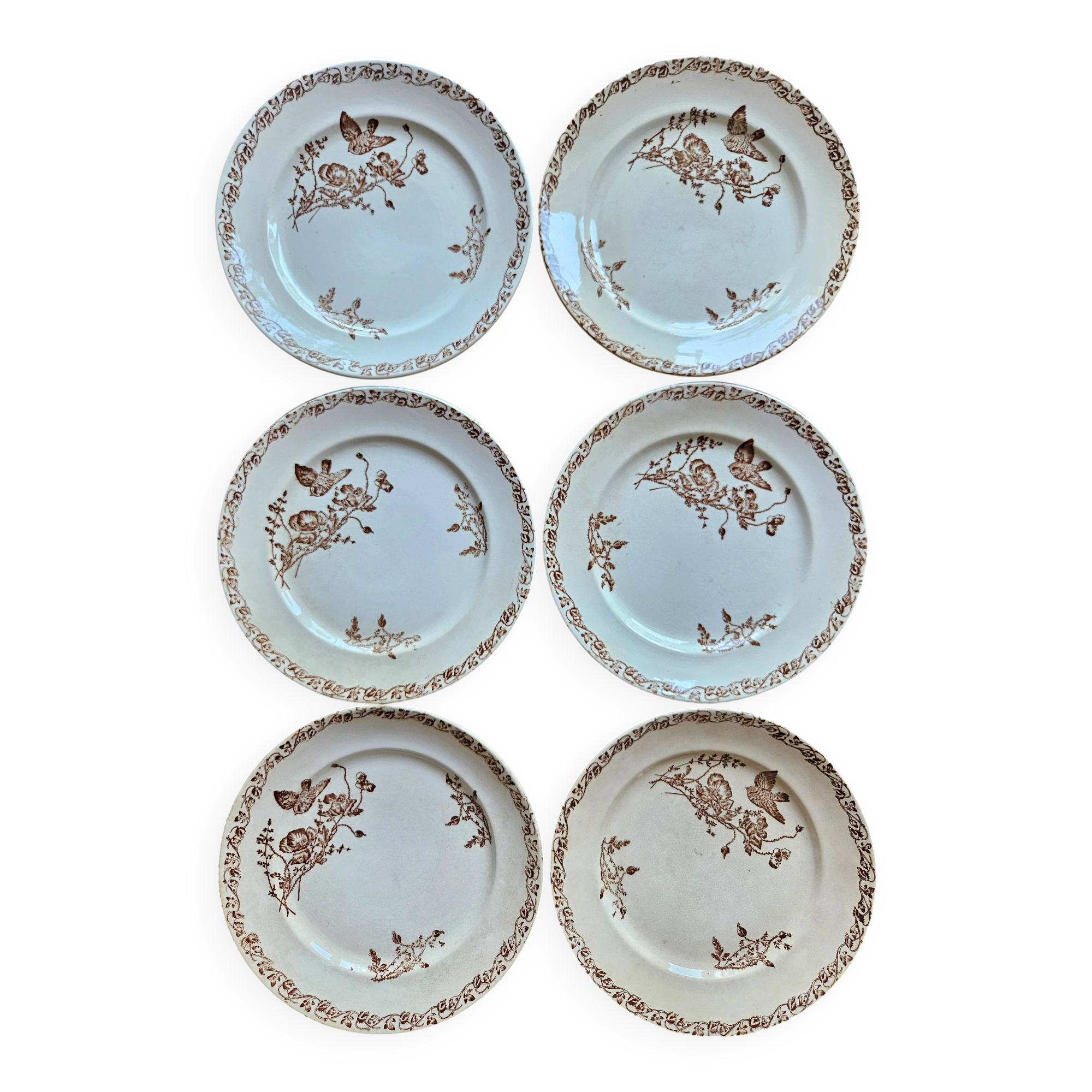 Flat plates, ironstone, poppies