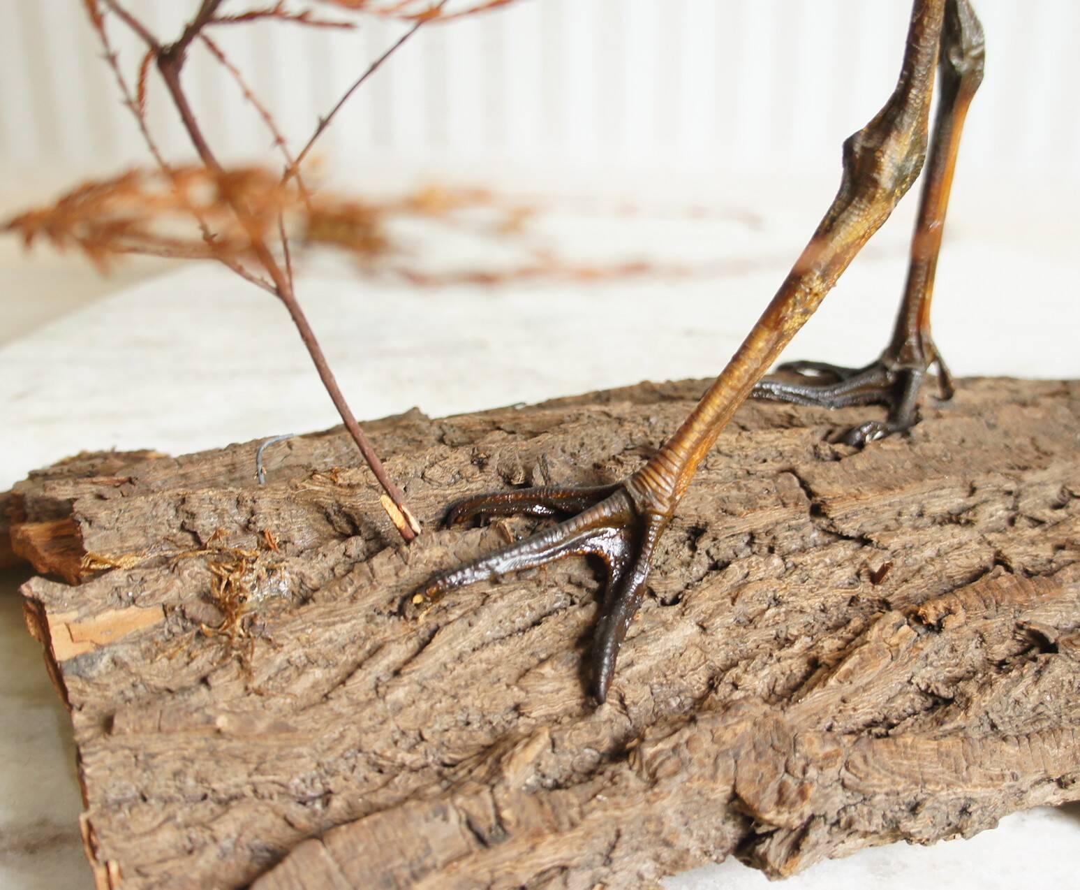 Stuffed bird "Eurasian Curlew" on plant base