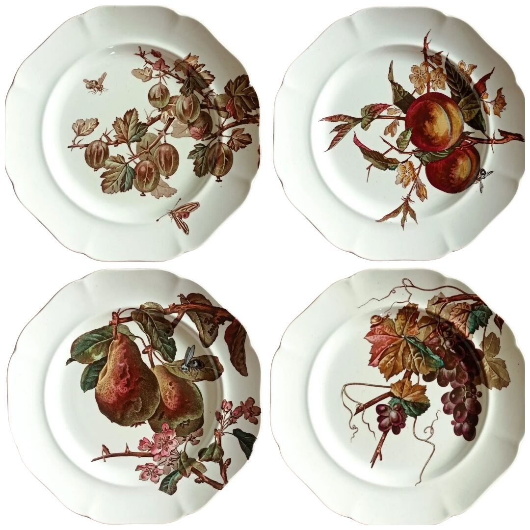 4 assiettes plates Brown-Westhead Moore and Co