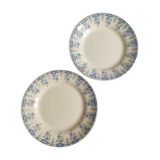 Ensemble de 2 assiettes terre de fer