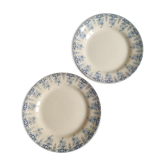 Set of 2 iron earth plates