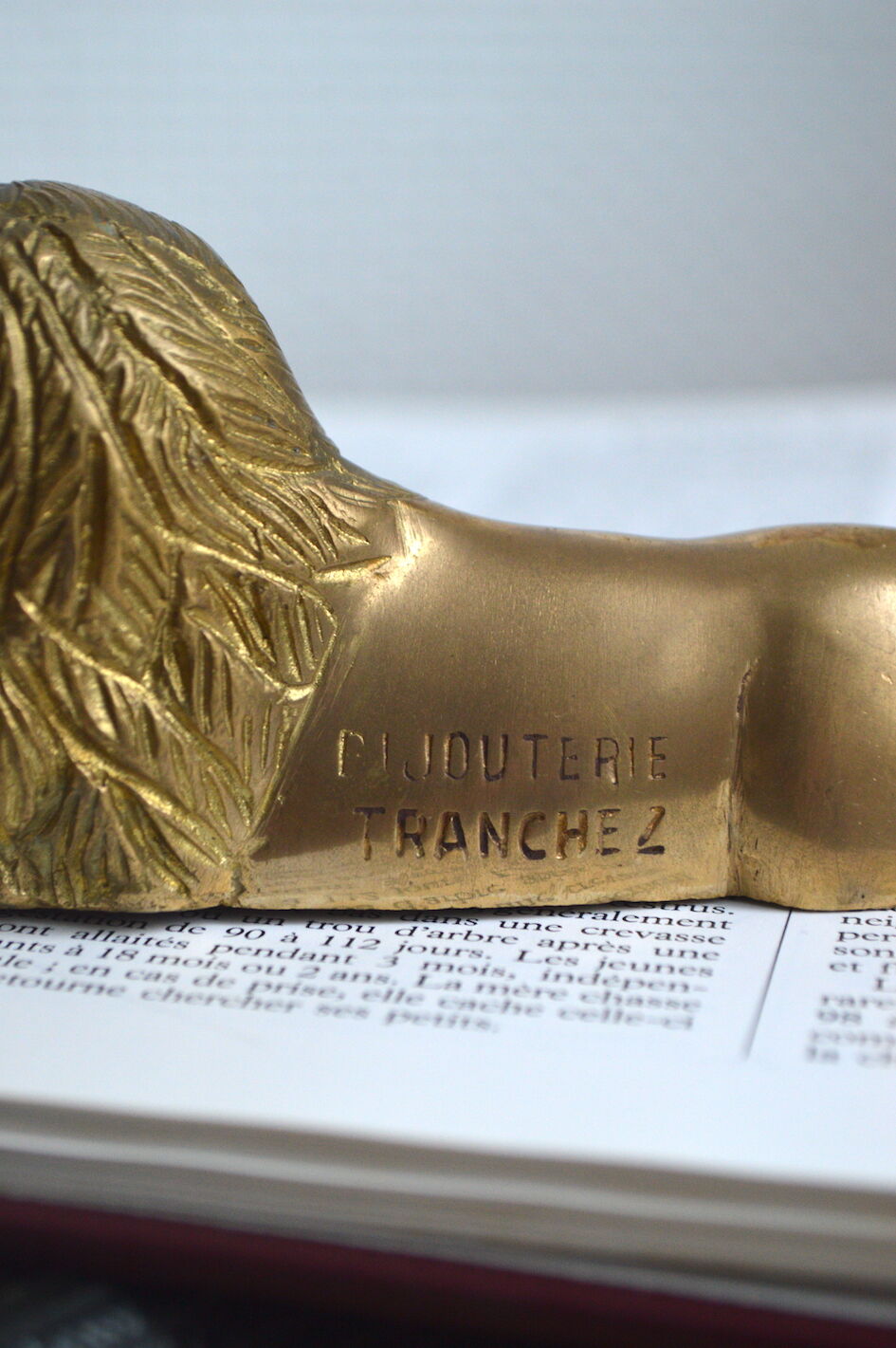 Brass lion paperweight