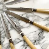 Series of horn knives