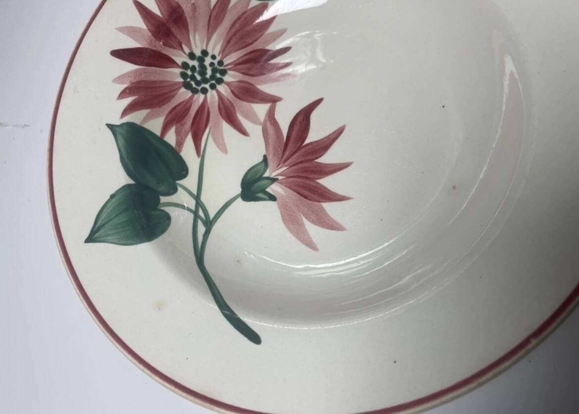 Floral deep plates hbcm