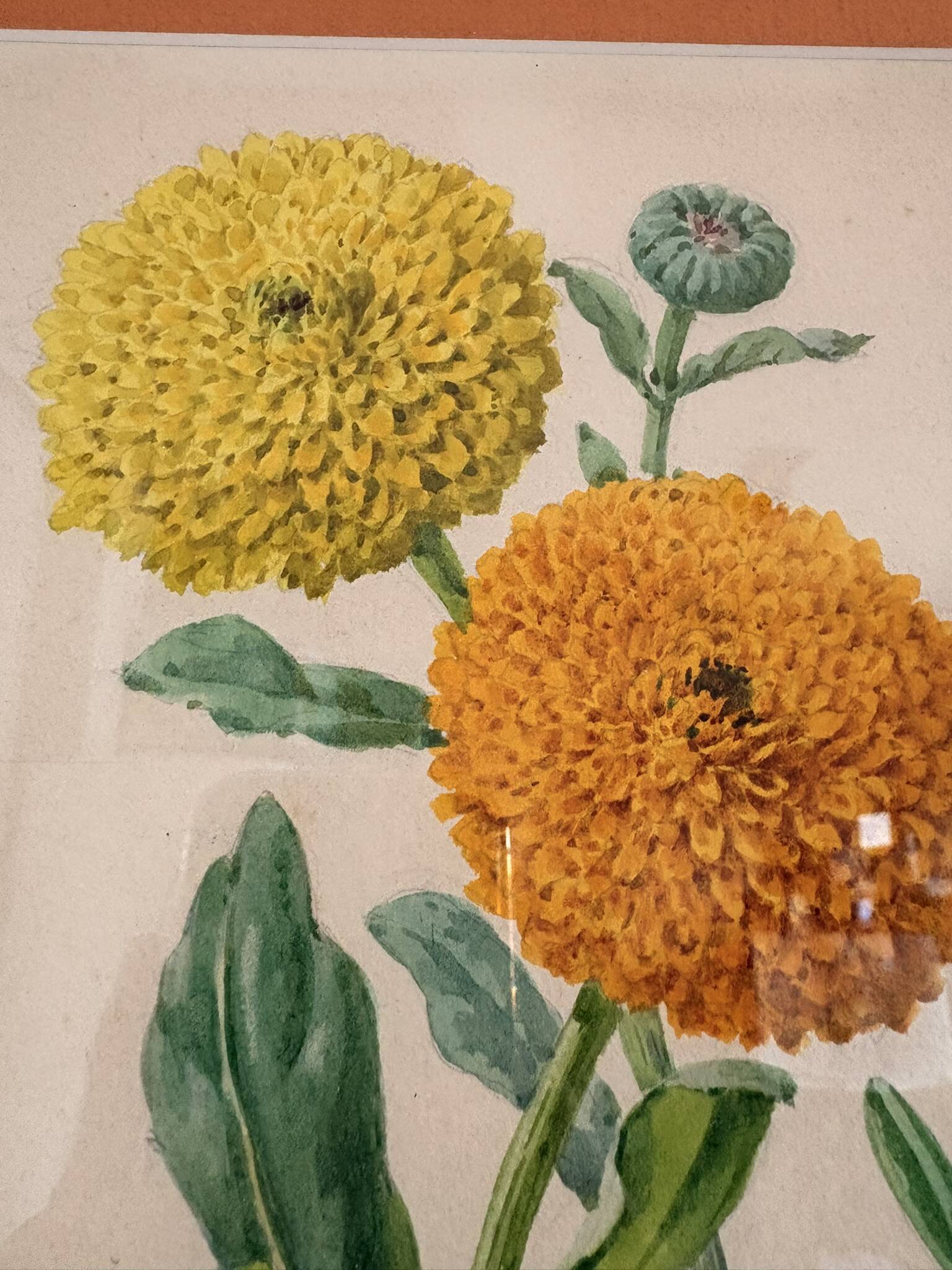Watercolour Tableau Iconography Flowers Naturalism Rose Tagetes erecta nature