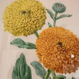 Watercolour Tableau Iconography Flowers Naturalism Rose Tagetes erecta nature