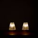 Pair of glass desk lamps by J.T. Kalmar