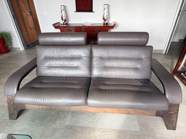Nova roche bobois sofa