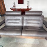 Nova roche bobois sofa