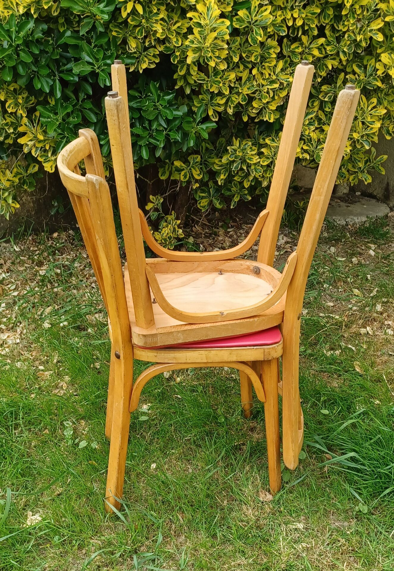 Pair of Baumann bistro chairs no. 12