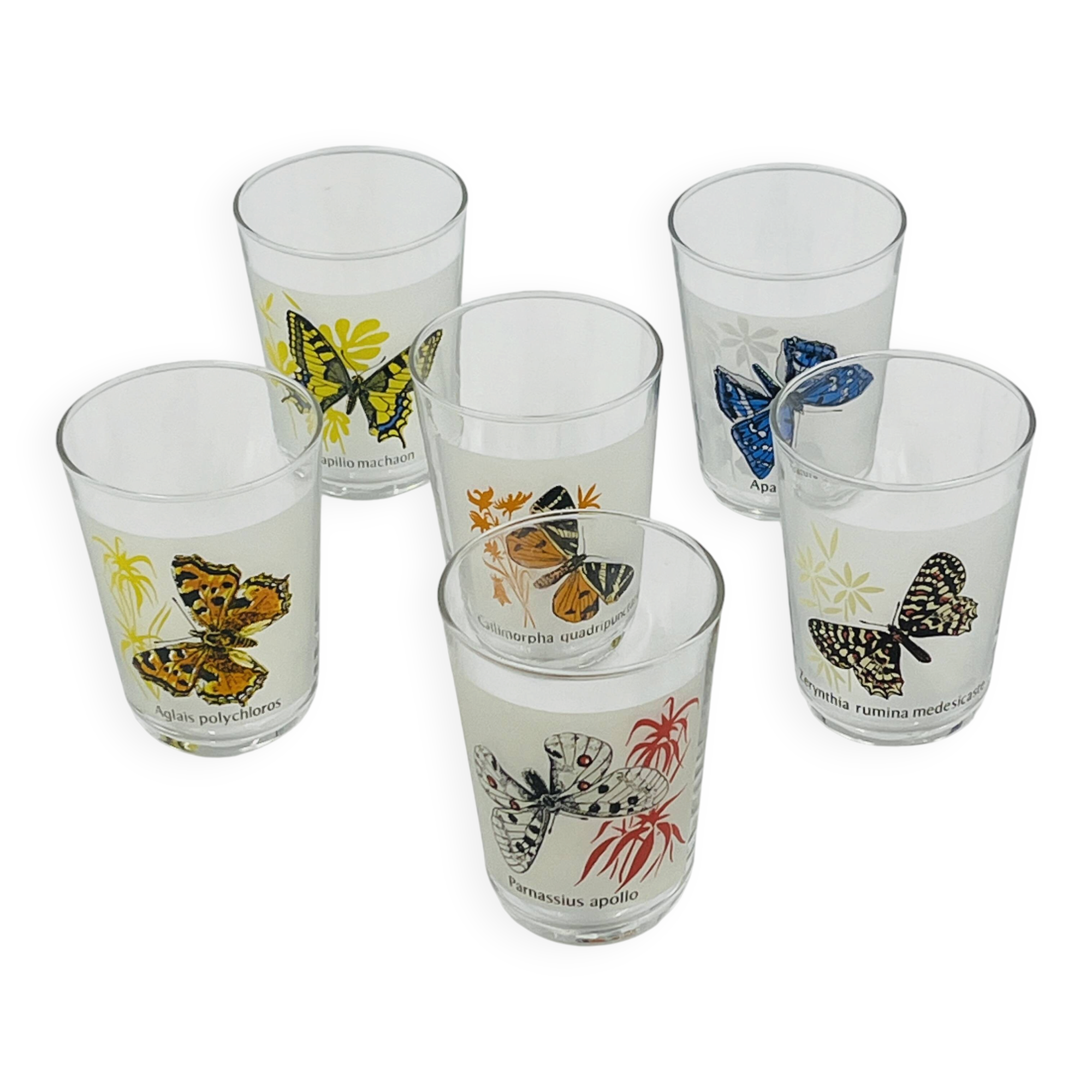 6 vintage butterfly glasses