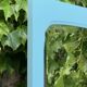 Beveled mirror on turquoise Parisian door