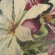 Peinture huile sur toile fleurs clématites signé François Rose 1904
