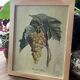 Botanical poster muscat - Turpin