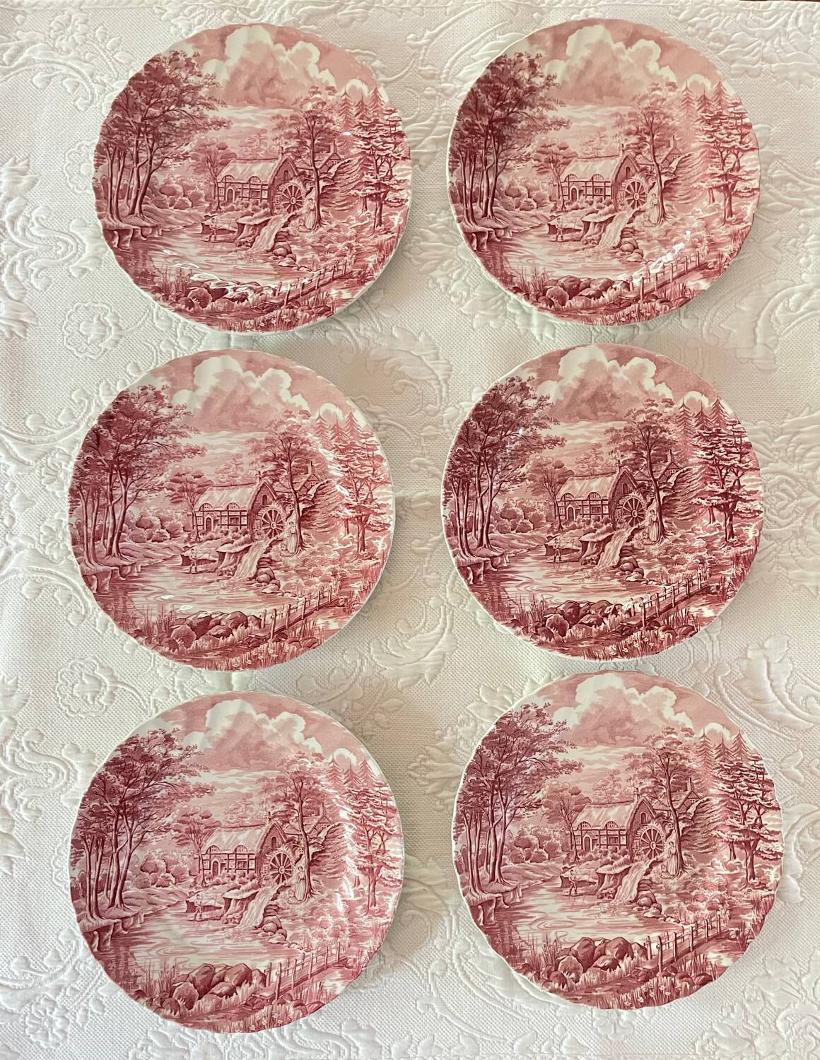 6 English Dinner Plates Alfred Meakin The Mill Staffordshire Diam 25 Cm