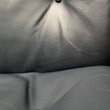 Siesta lounge chair set in Norwegian leather with ottoman by Ingmar Relling for Ekornes