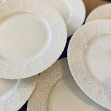 Lot of 6 Limoges plates and Ralph Lauren model Megan.