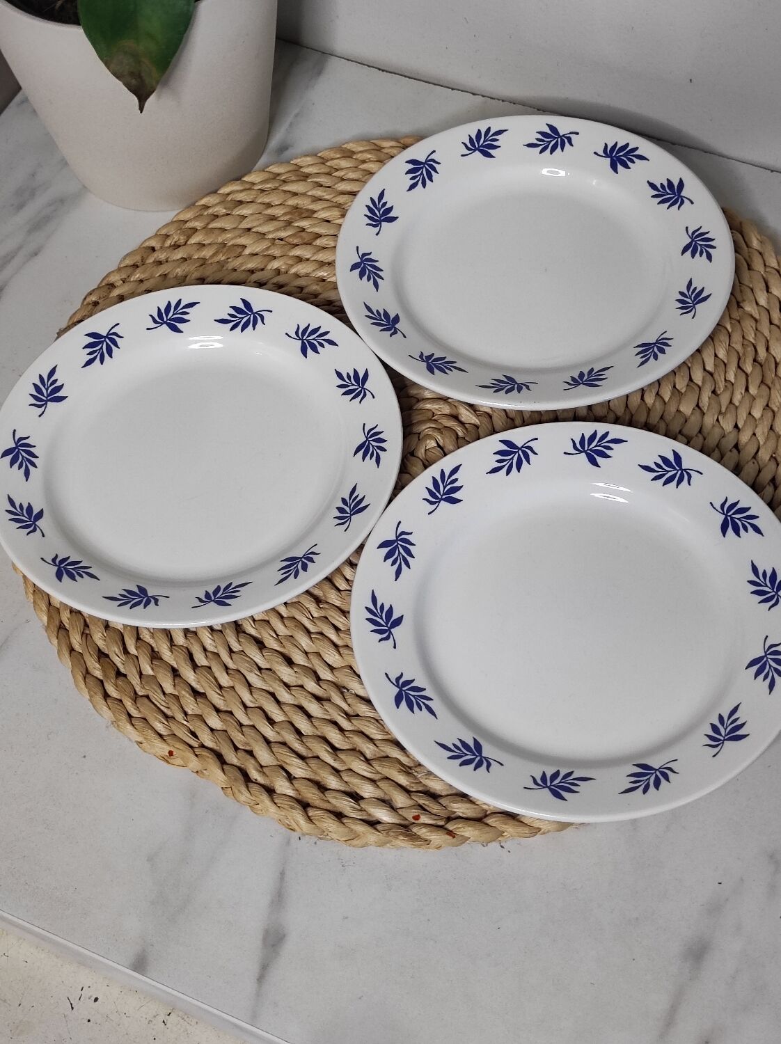 Dessert plates with blue leaves