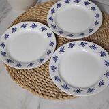 Dessert plates with blue leaves