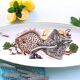 Extra Long, Fish Platter. Rare, Turbot and Skate, Fish Banquet Table Centerpiece.