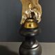 Cabinet of Curiosities sponge cut carteriospongia foliascens on base