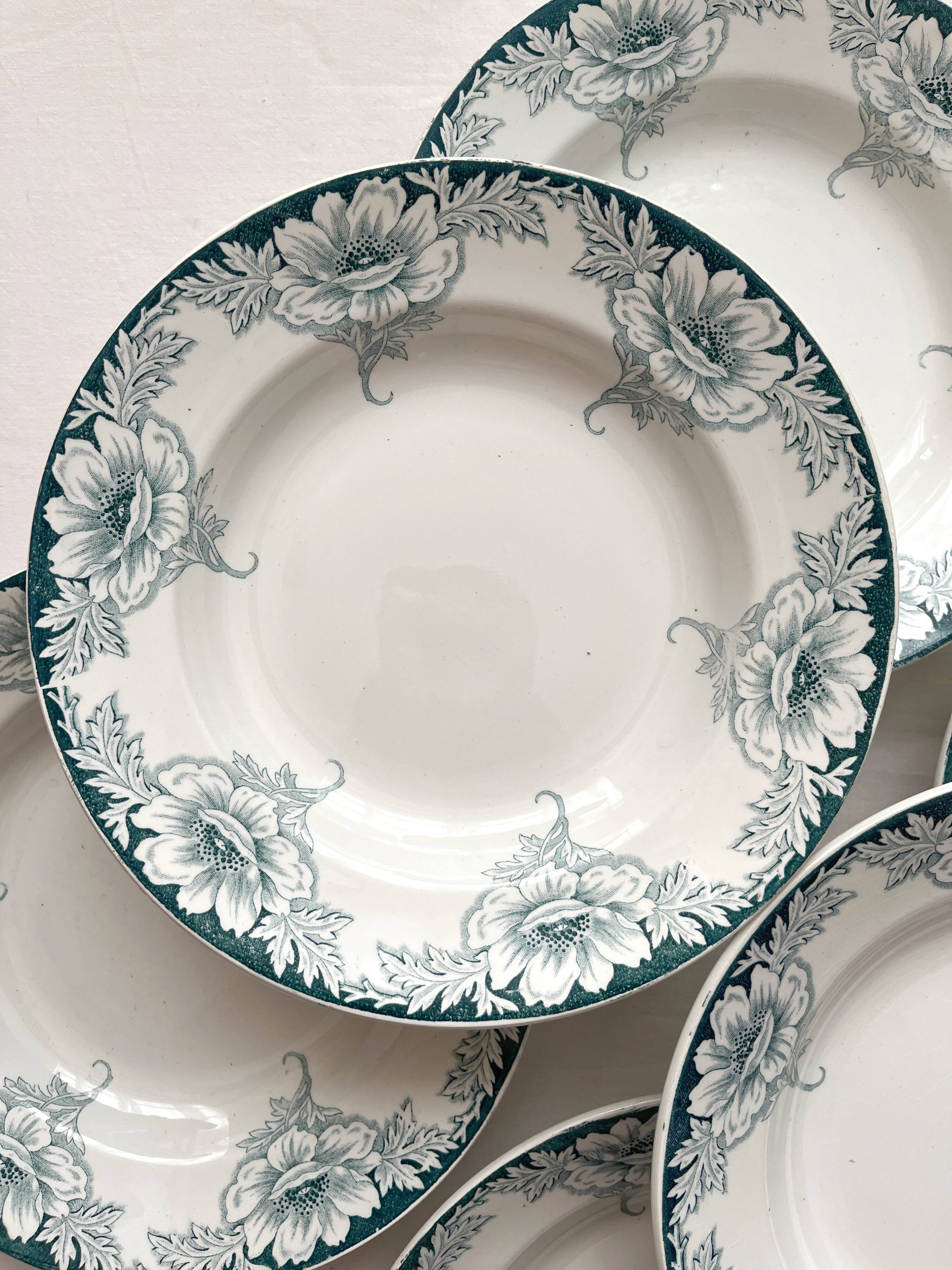 6 Suzanne, Saint Amand and Hamage ironstone soup plates
