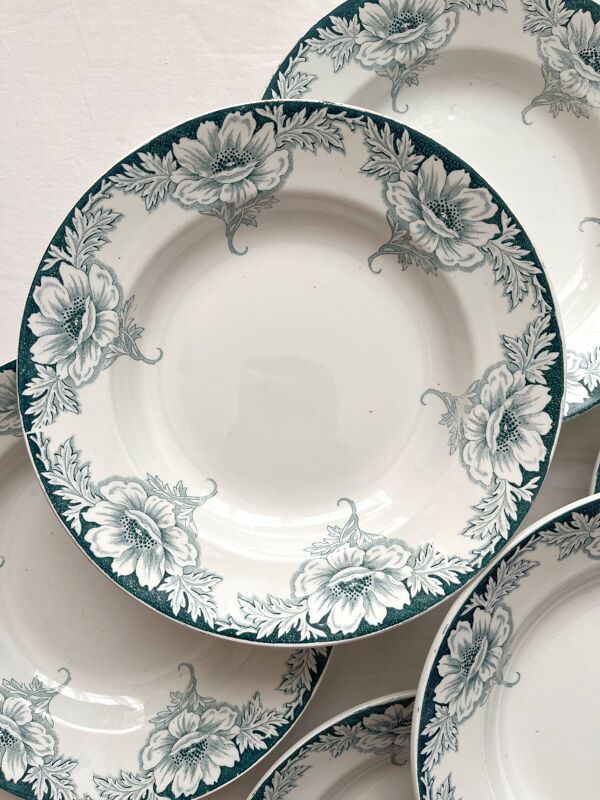 6 assiettes creuses en terre de fer Suzanne, Saint Amand et Hamage