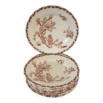 11 Gien plates in the Cactus pattern from around 1900.