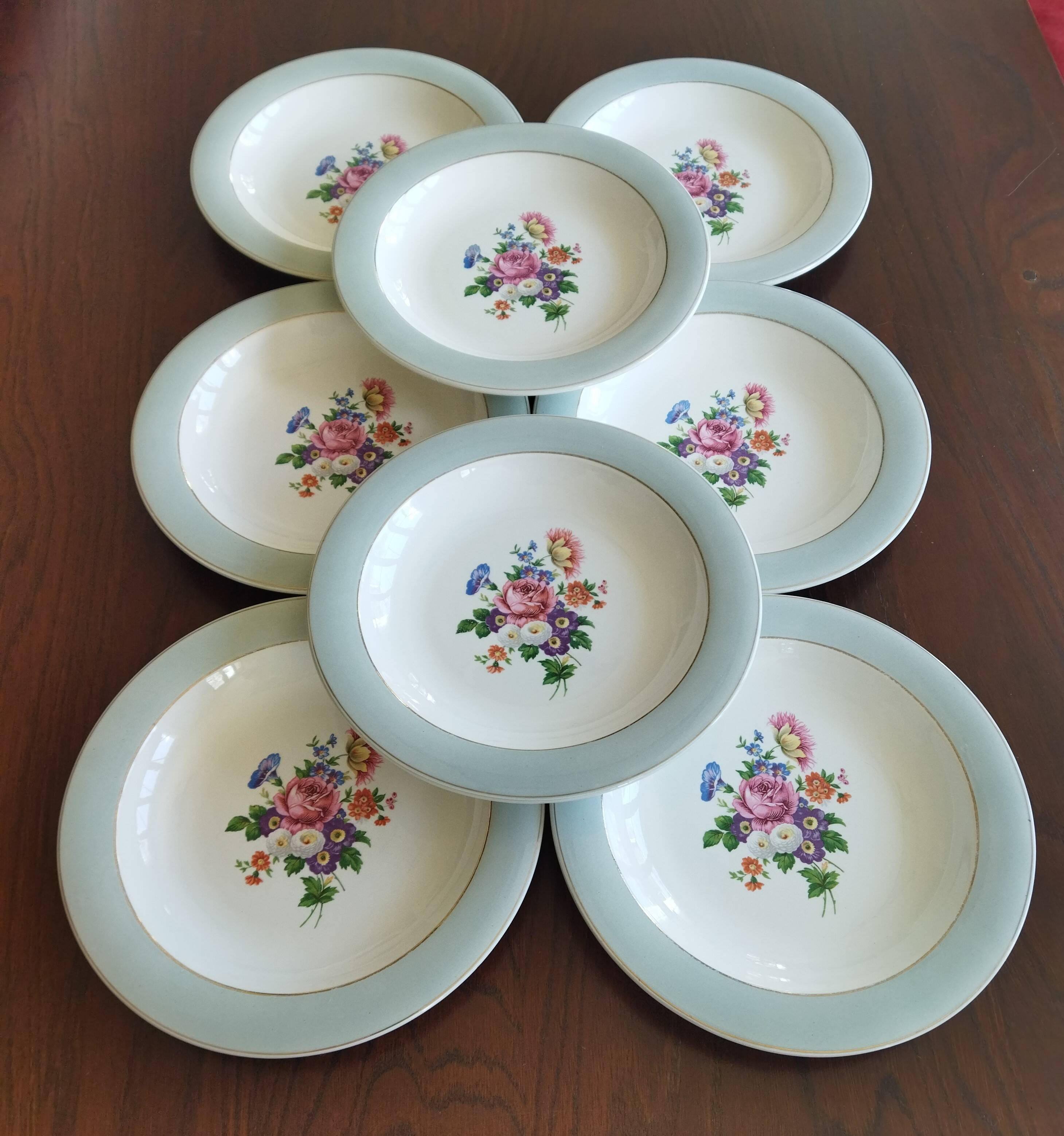 8 semi-deep plates Salins Opaceline 702