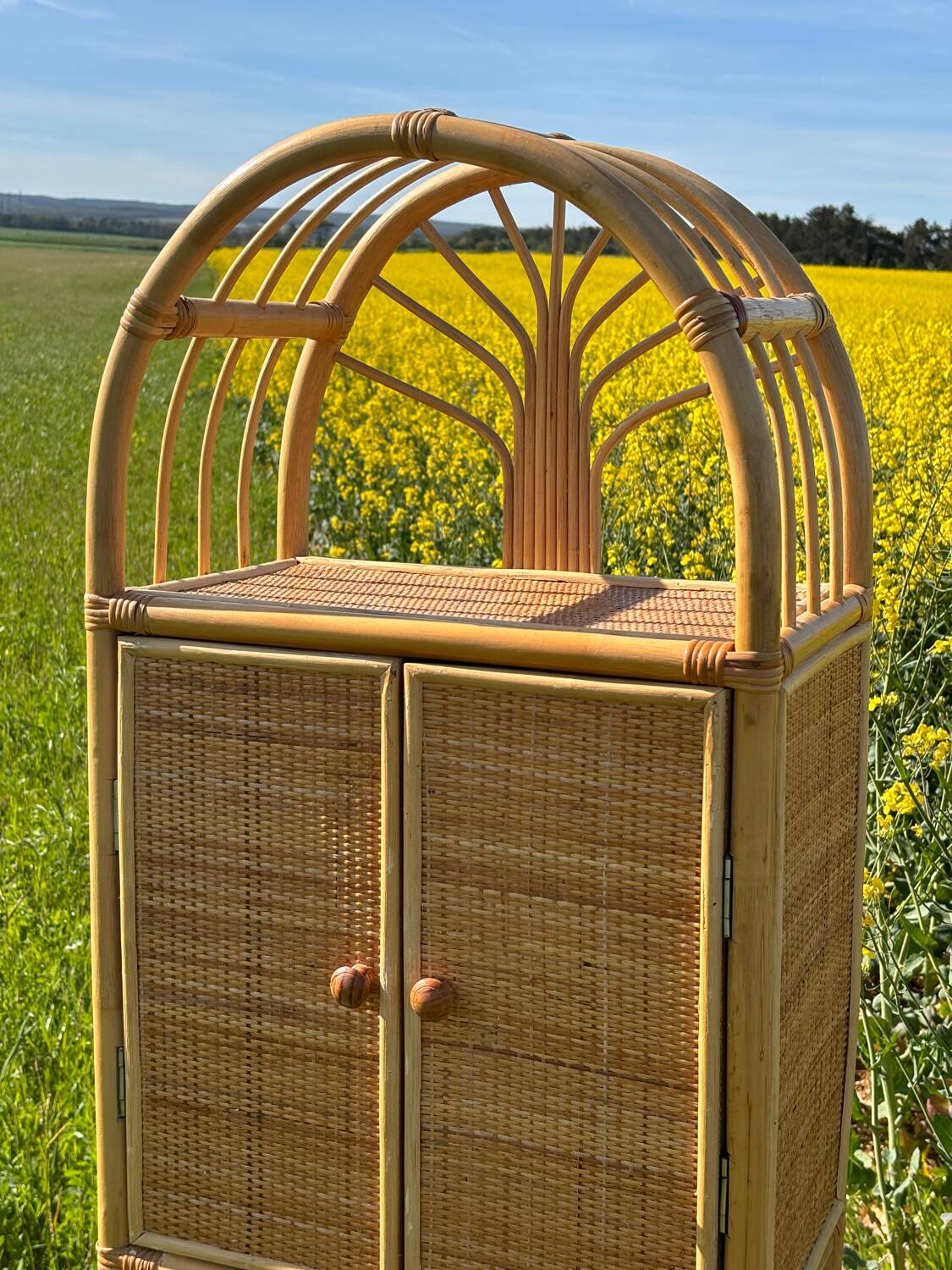 Storage unit, rattan bookcase, 1970