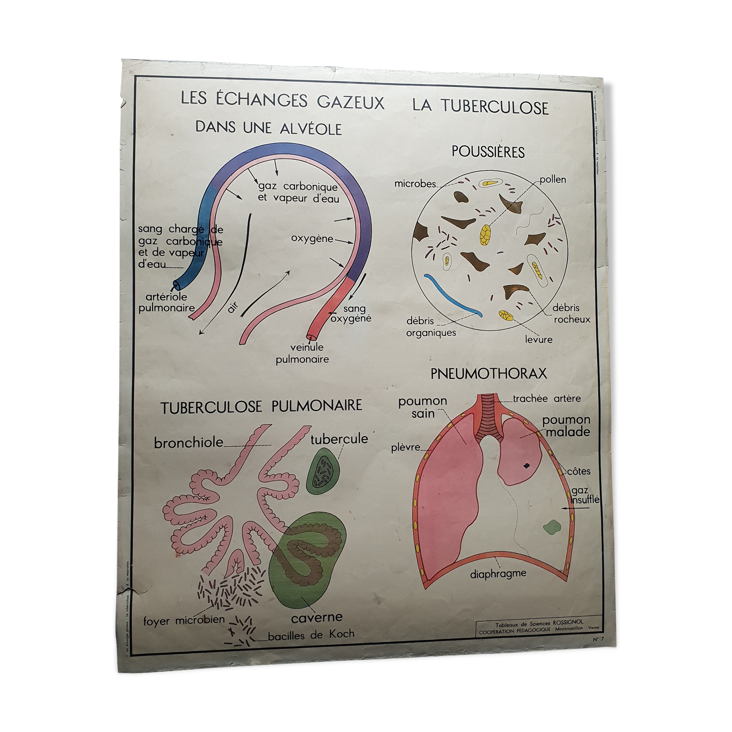 School poster Rossignol