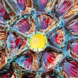 Handmade painted and glazed Barbotina ceramic oyster dish from Vallauris France ann