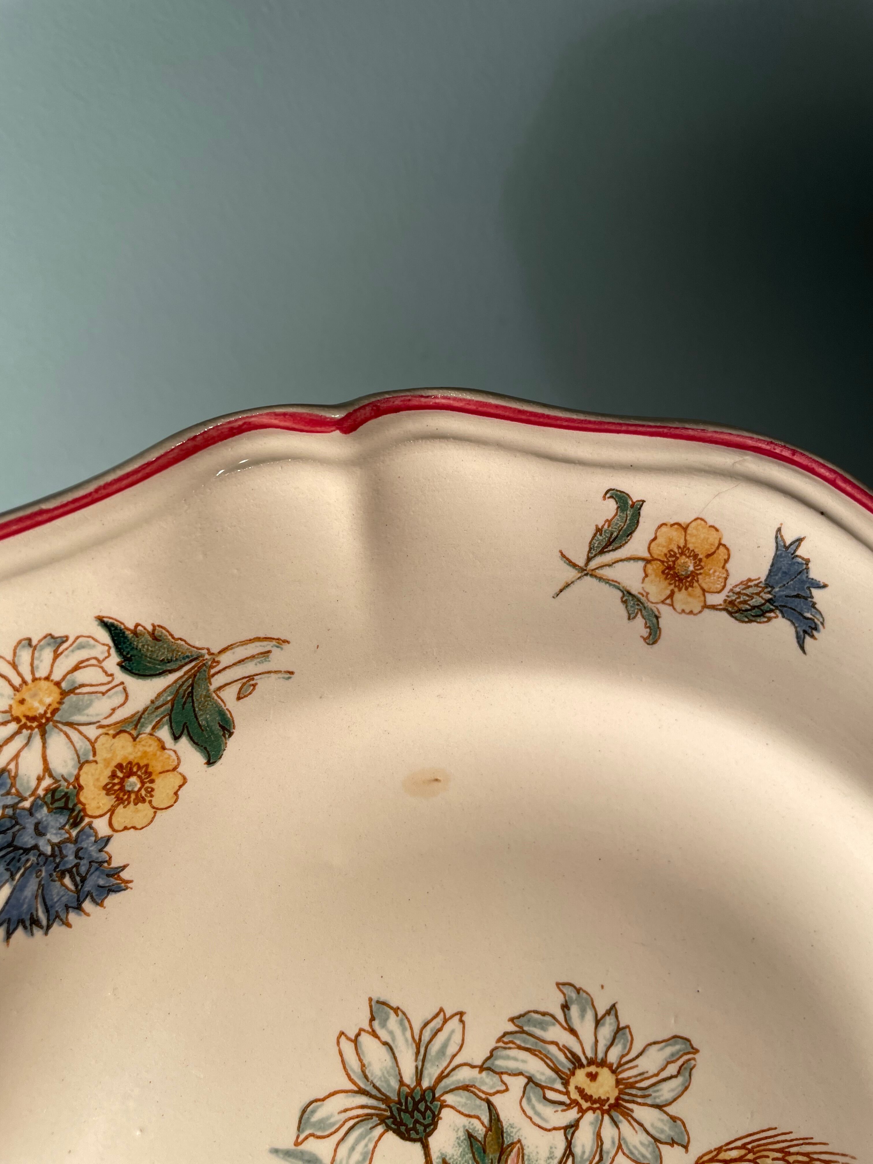 Set of 8 flat plates in Digoin Sarreguemines earthenware, Agreste model