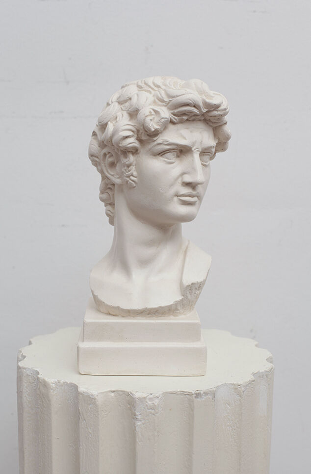 David head in white plaster