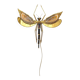 "Libellule" wall light by Jacques Duval Brasseur in brass and agate, 1970.
