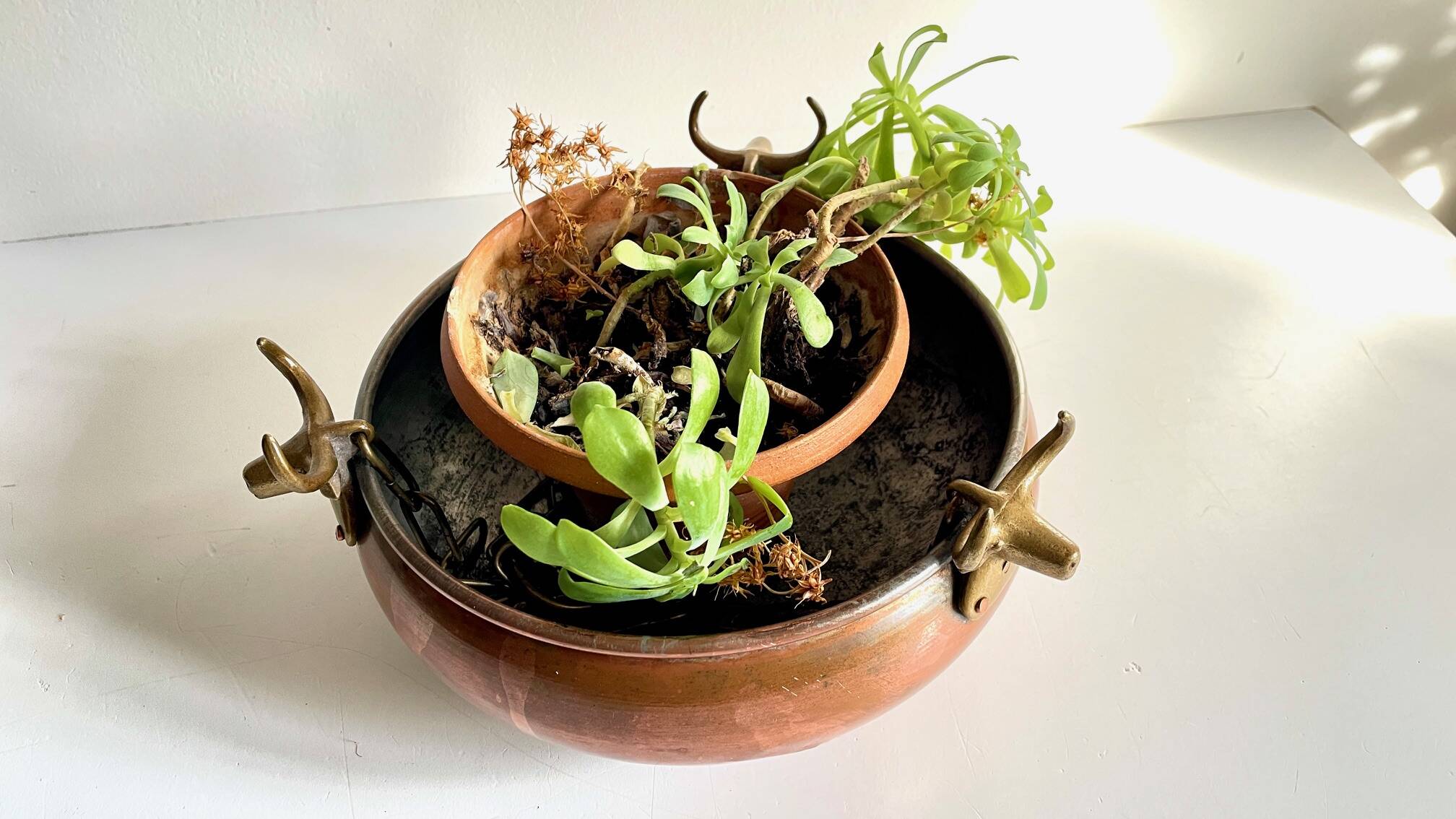 Vintage 3 buffalo hanging planter