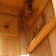 Very large Louis Philippe walnut wardrobe