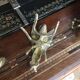 Lot de 3 bronzes anciens sculptures grenouille et cigales 19ème siècle