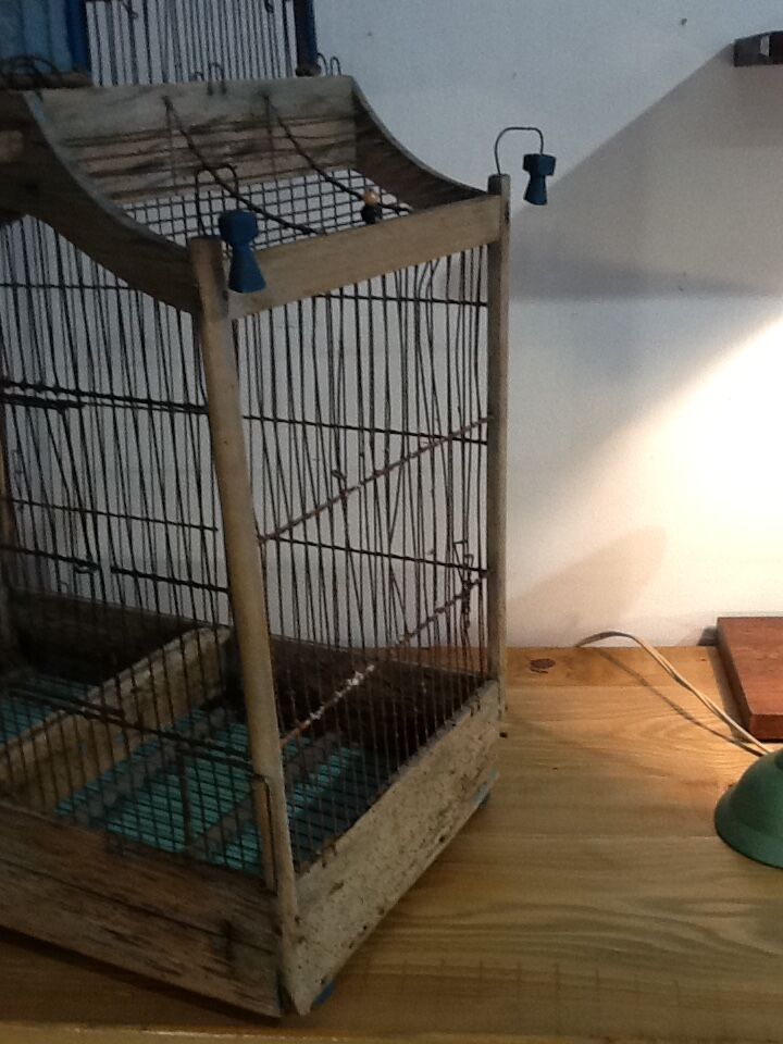 Wooden cage