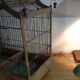 Wooden cage